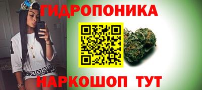 ГАЛЛЮЦИНОГЕННЫЕ ГРИБЫ Обь