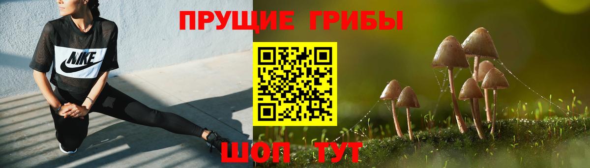 Псилоцибиновые грибы прущие грибы Сибай
